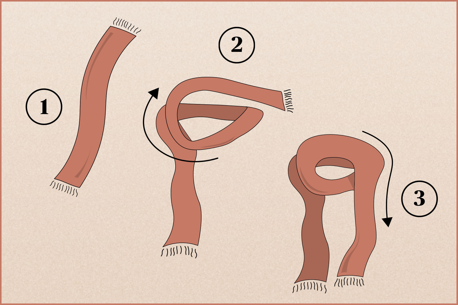 Diagram of three-step process of how to drape a scarf