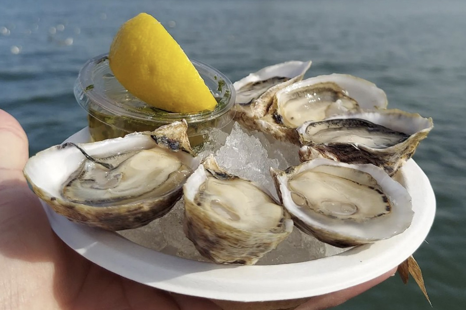 The view: amazing. The shellfish: even better.