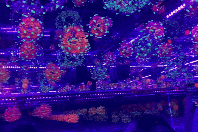 wink world las vegas