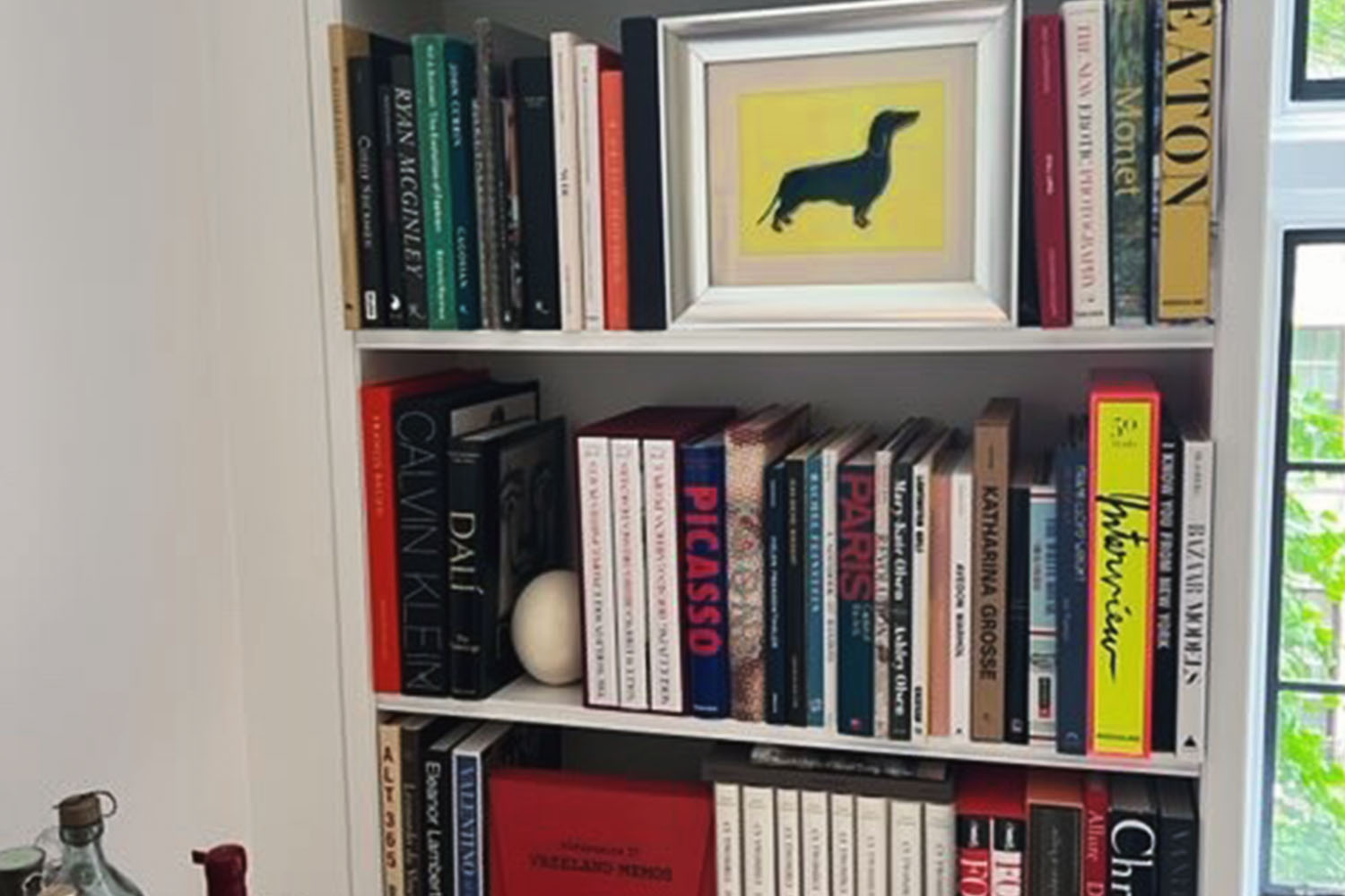 Bookshelf and dog painting