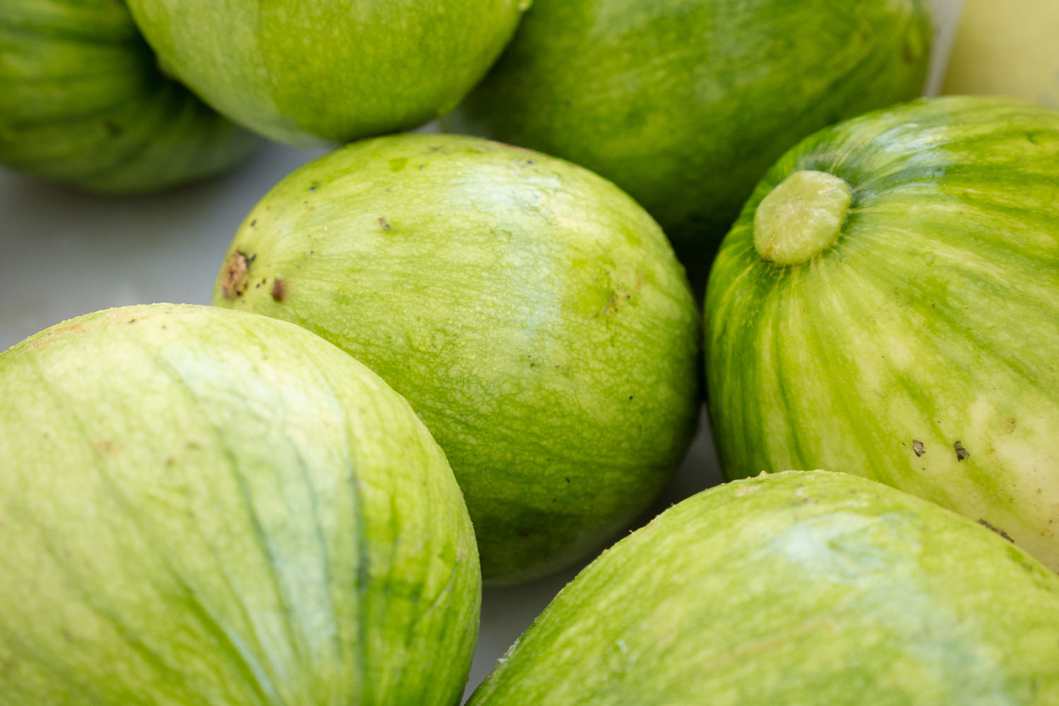 Avocado squash.