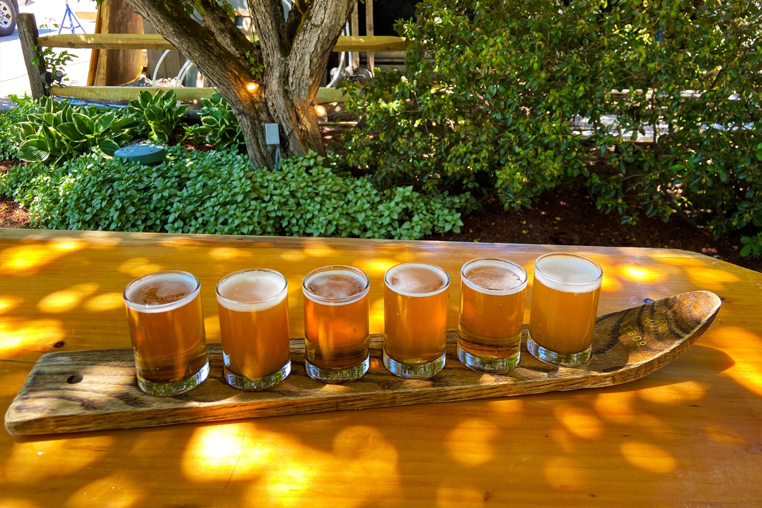 Flight of six beers on a wooden ski outdoors