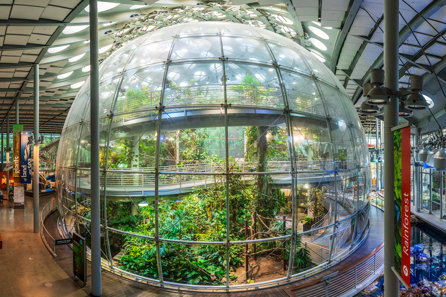 A large indoor dome with a rainforest inside