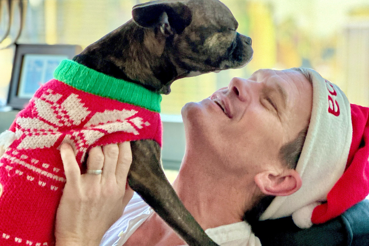 Neil Patrick Harris in a Santa hat holding his dog dressed in a holiday sweater