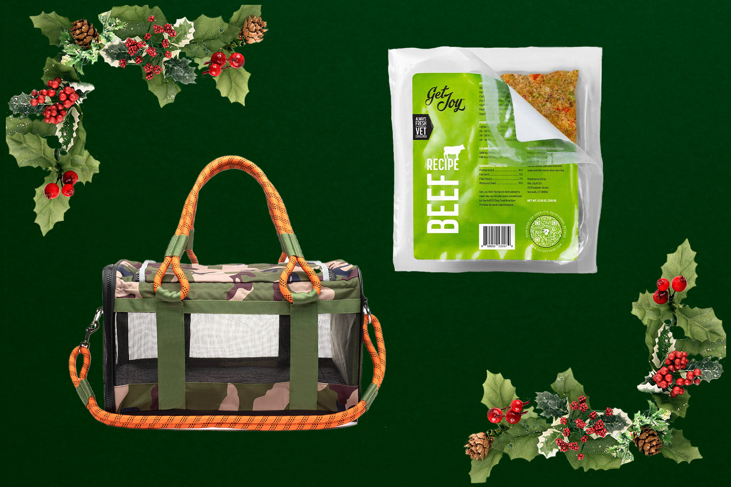 Dog food and dog carrier on green background