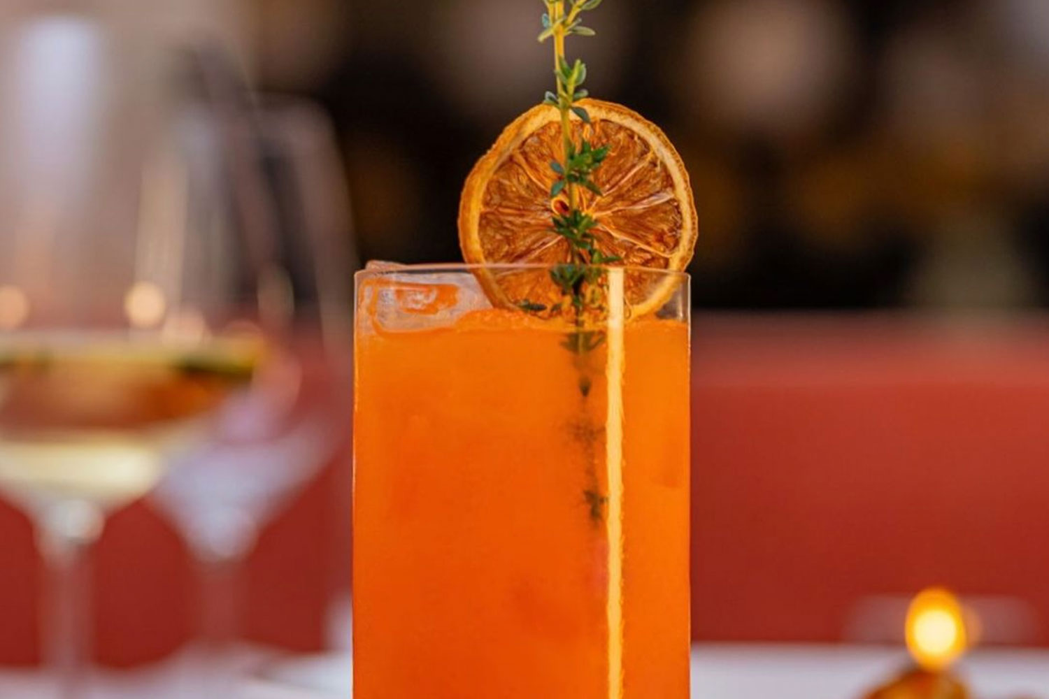 Orange drink in a highball glass with a s prig of thyme and a dehydrated orange for garnish